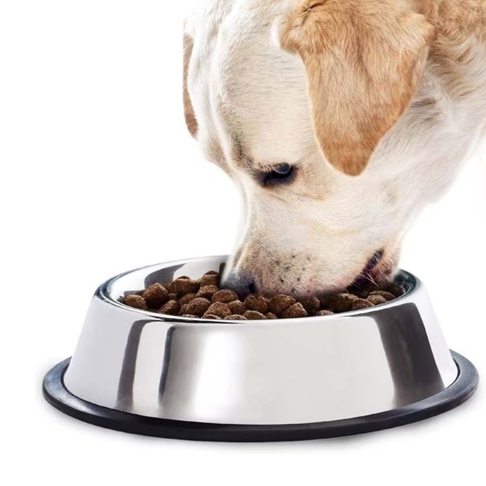 Ciotola per cani in acciaio antiscivolo