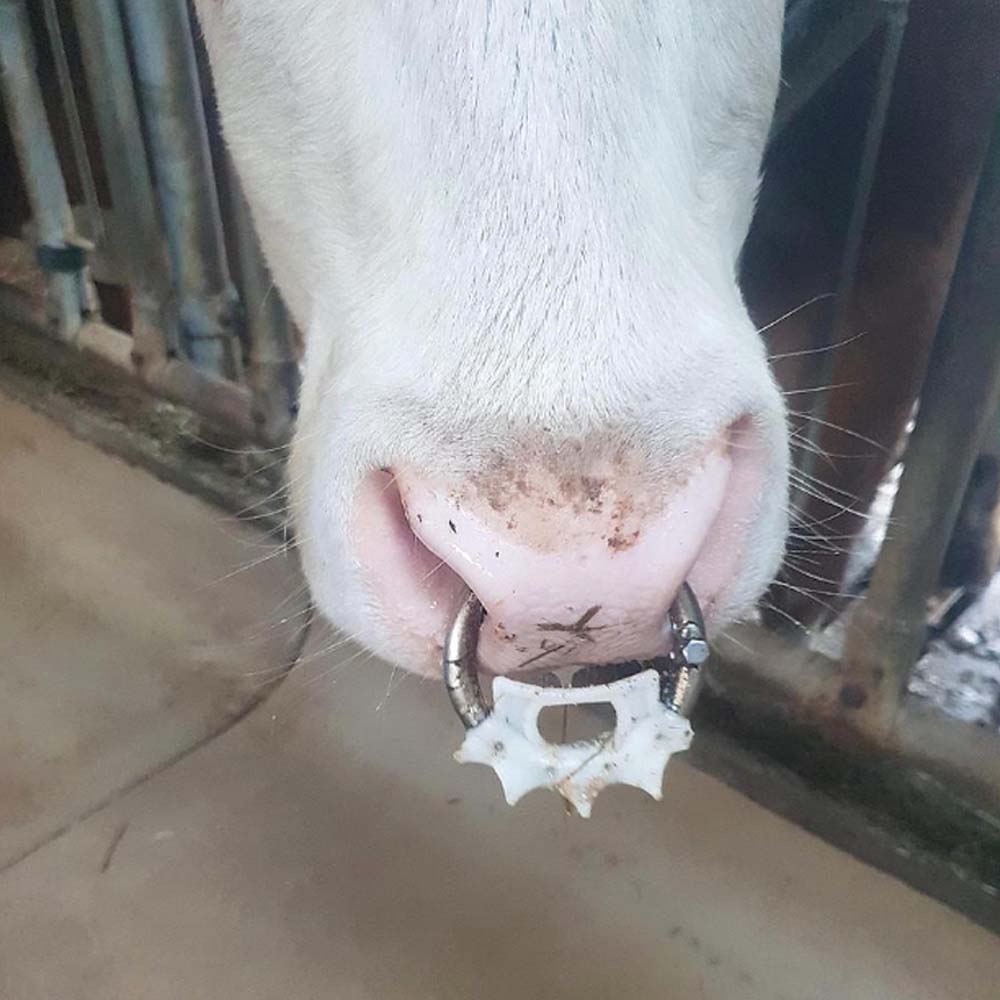 Antisucchio Saugstop in metallo 59mm