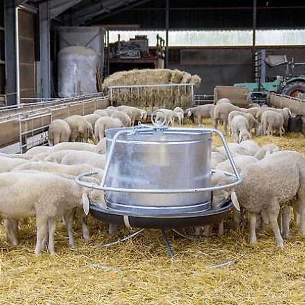 Alimentatore per ovi-caprini