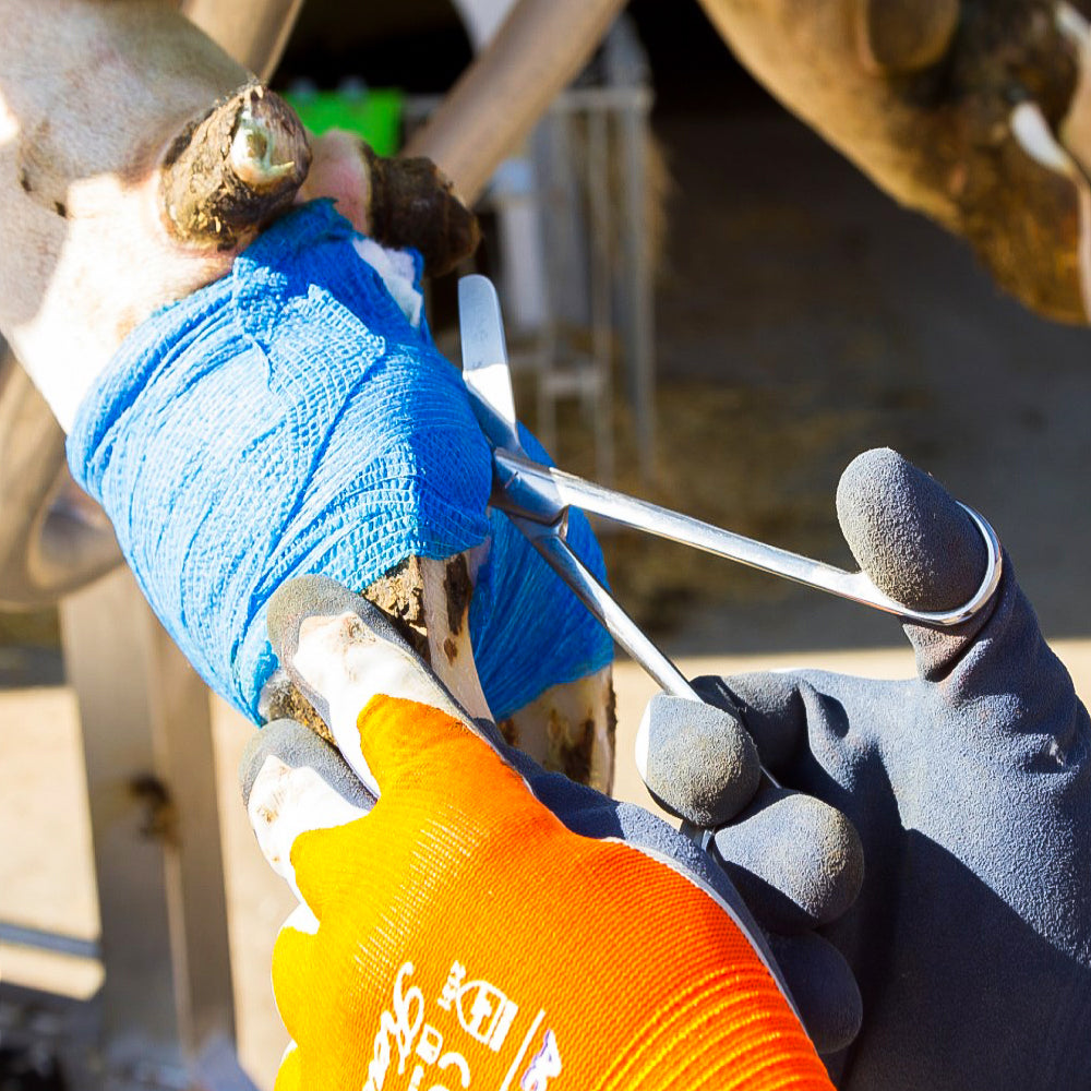 benda elastica autoadesiva