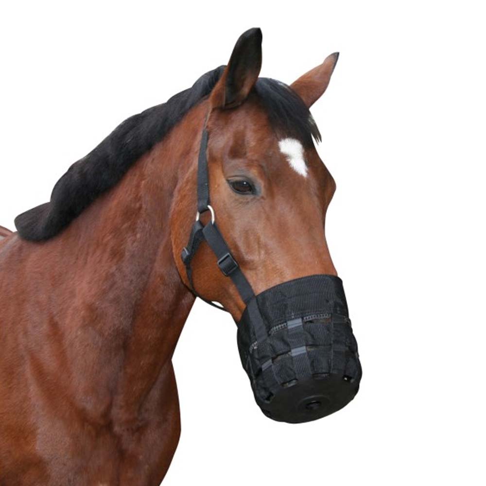 Museruola cavallo rinforzata