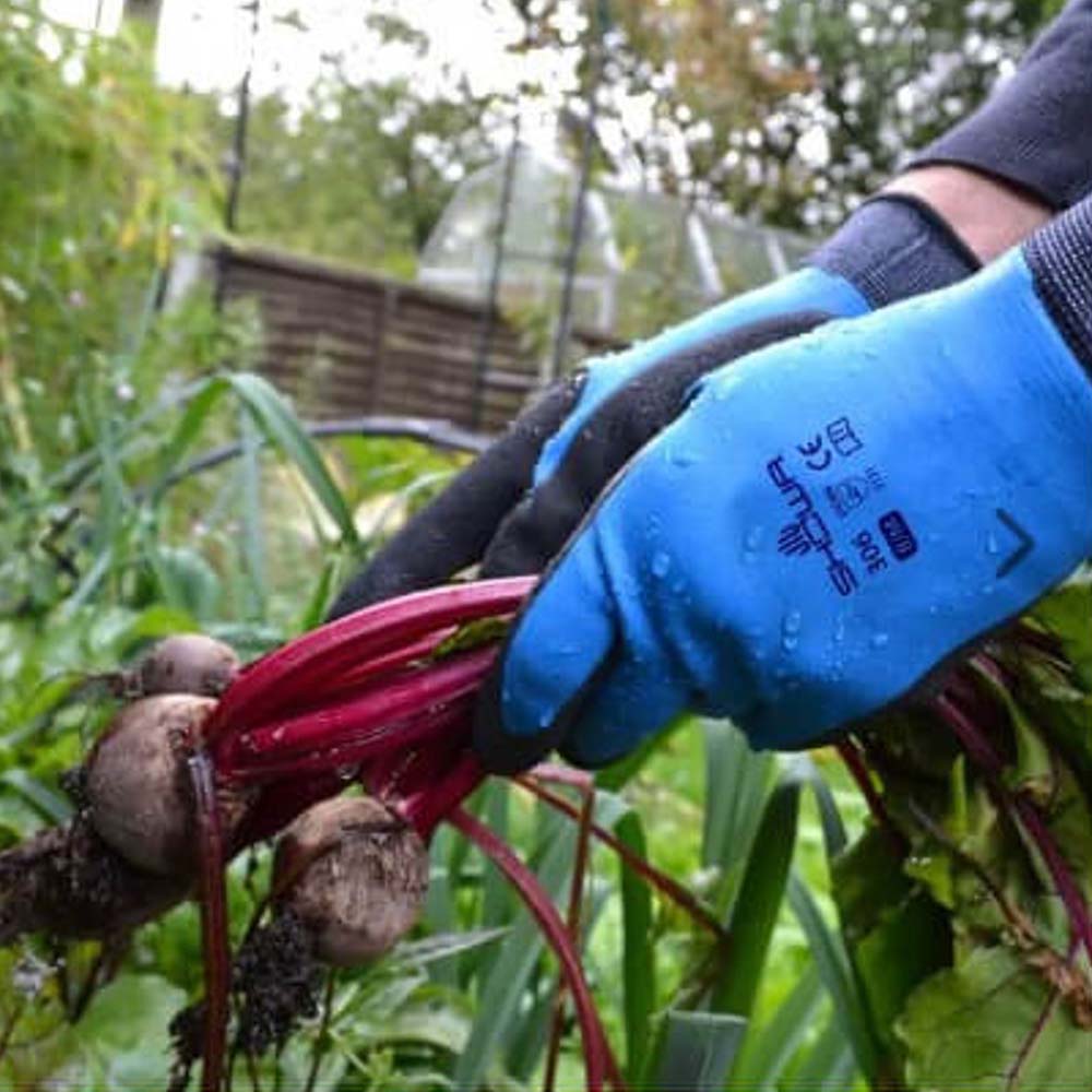 Guanti Showa 306 Comfort e protezione per lavori pesanti