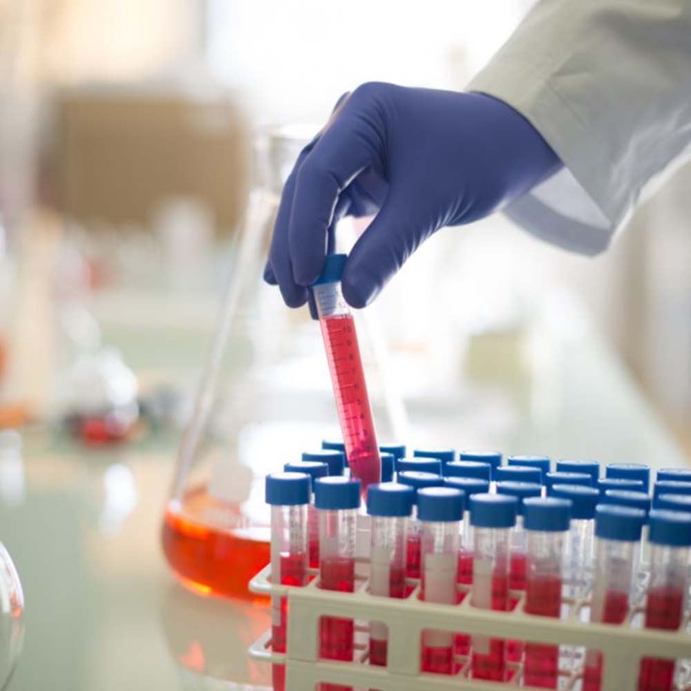 Guanti In Nitrile Showa 7580 Protezione E Comfort Per Lavori Industriali