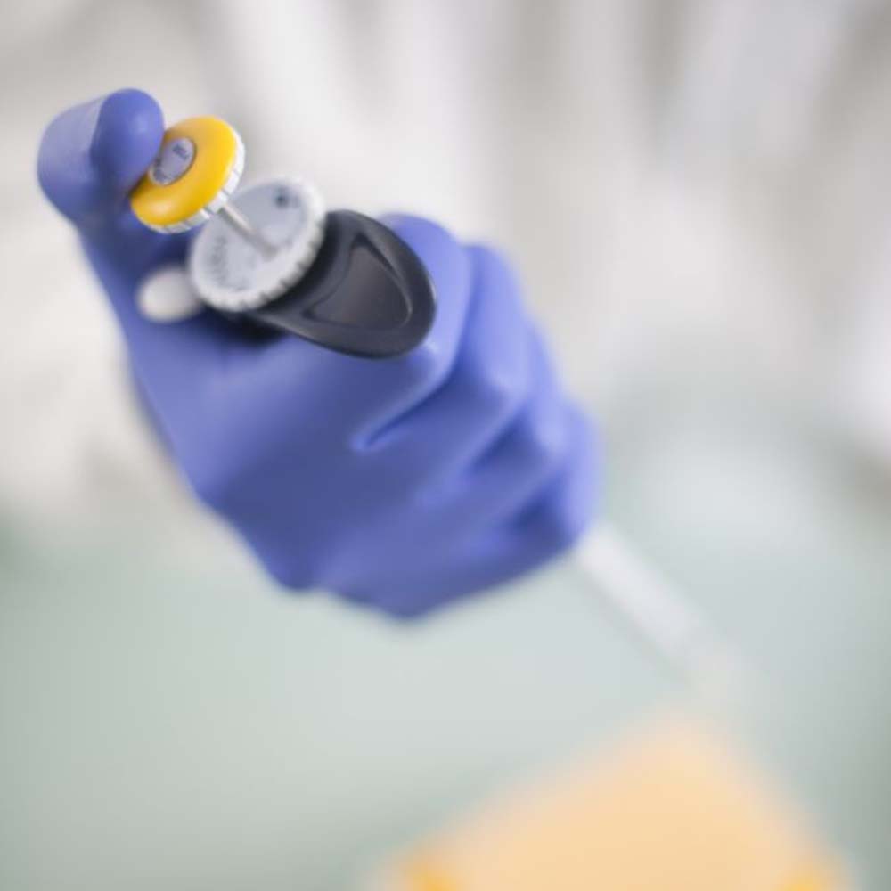 Guanti In Nitrile Showa 7580 Protezione E Comfort Per Lavori Industriali