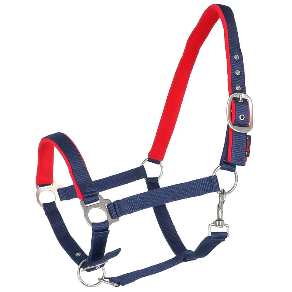 Testiera - Collo Dexter con velo underlay