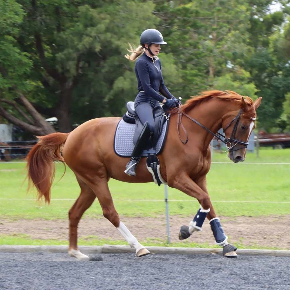 Covalliero Paraglomi zampe gomma per cavalli