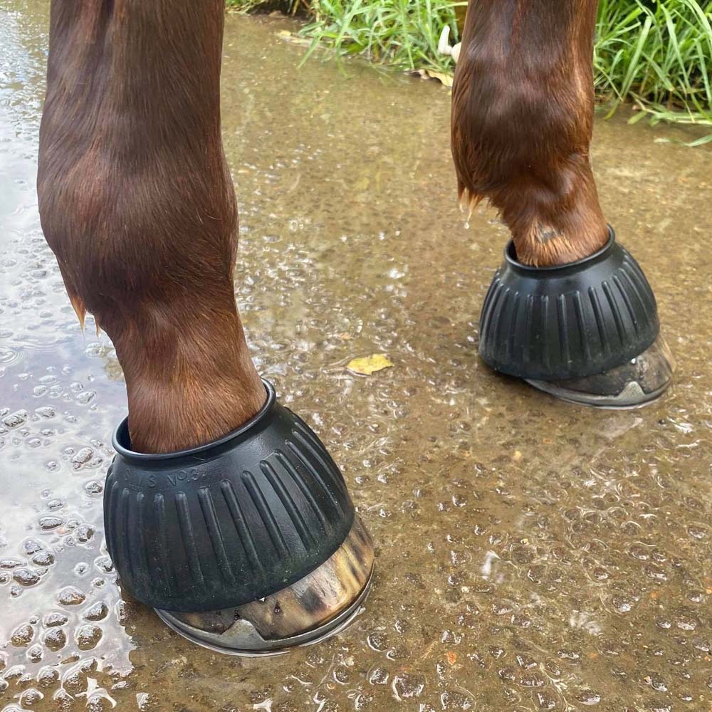 Covalliero Paraglomi zampe gomma per cavalli