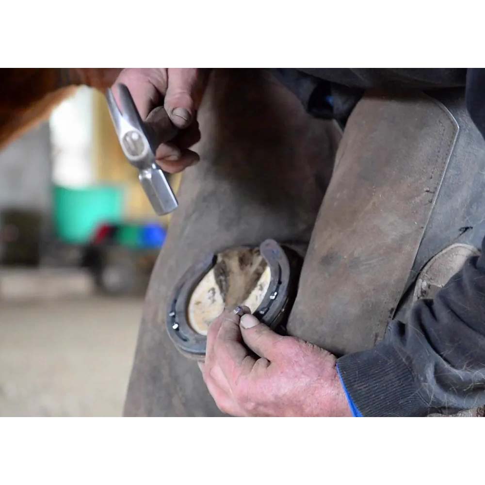 Ferro di cavallo Pony Libero 20x8 A2B