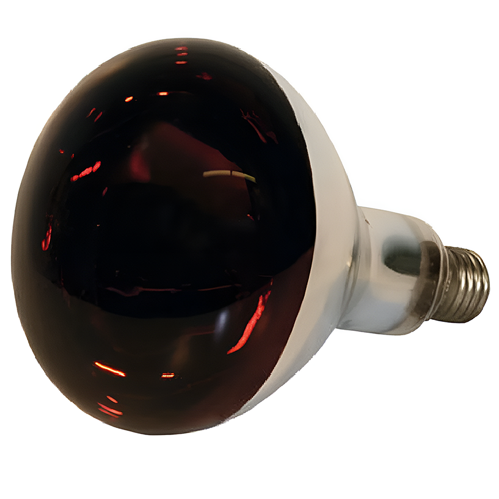 Lampada a Infrarossi con Vetro Duro per Maiali e Polli