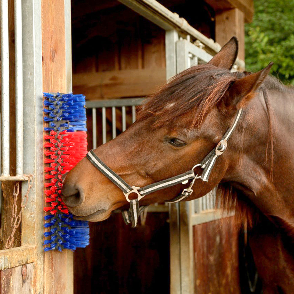 Spazzola Multiuso per Bovini e Cavalli 50 cm