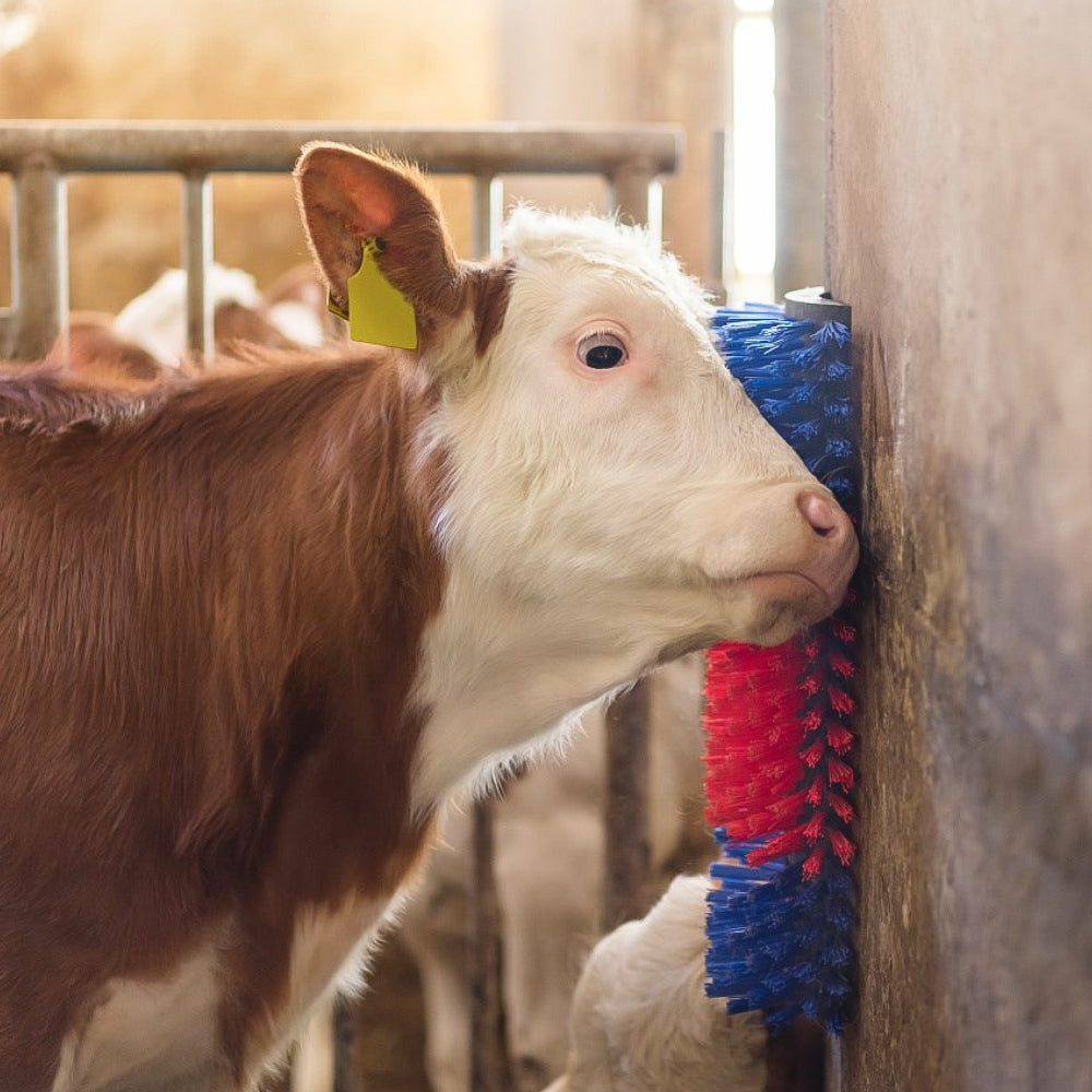 Spazzola Multiuso per Bovini e Cavalli 50 cm