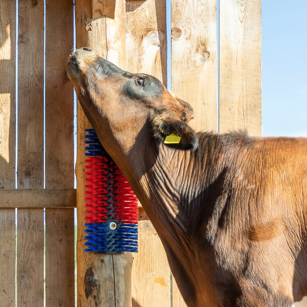 Spazzola Multiuso per Bovini e Cavalli 50 cm
