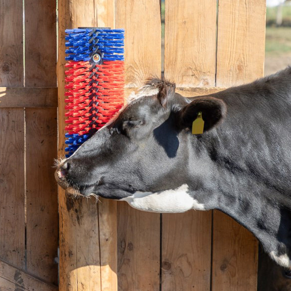 Spazzola Multiuso per Bovini e Cavalli 50 cm