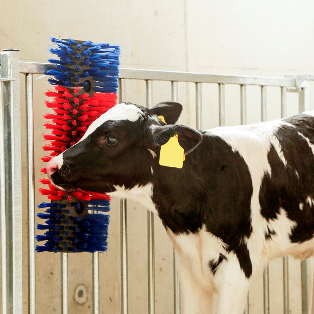 Spazzola Multiuso per Bovini e Cavalli 50 cm