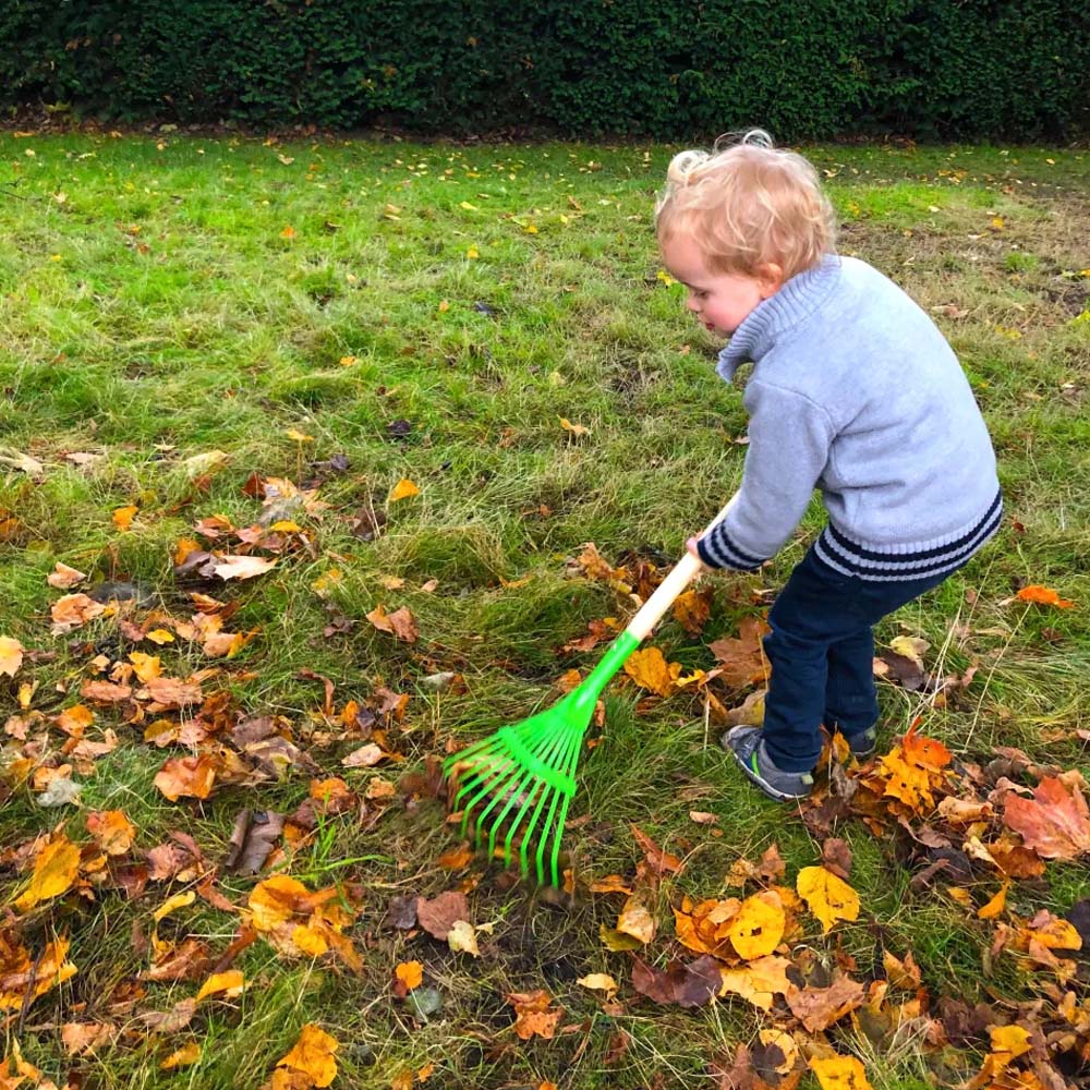 Rastrello Per Fogliame Per Bambini Verde/Giallo
