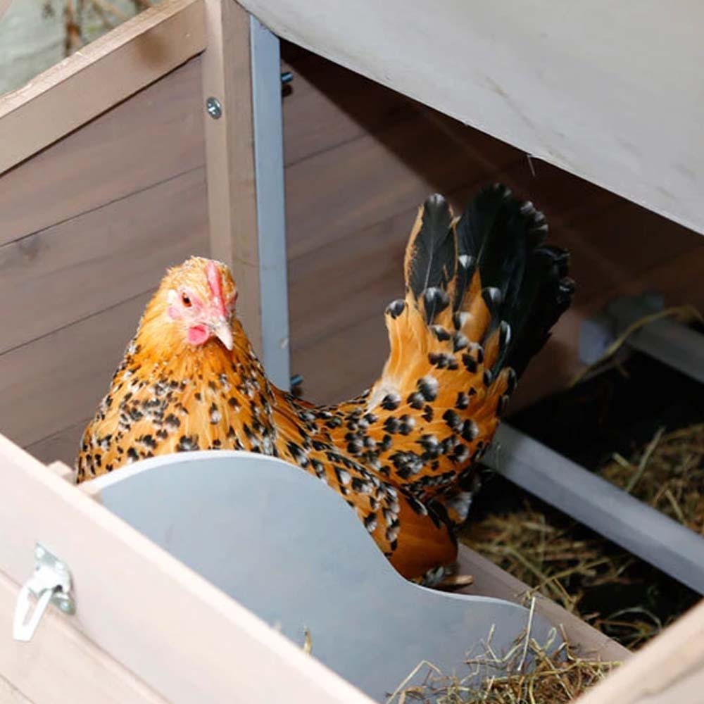 Pollaio Florentina con finestra scorrevole