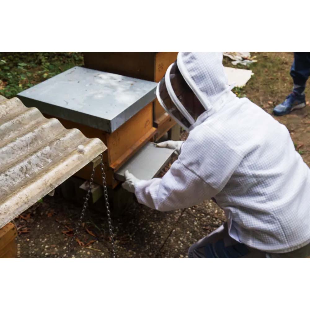 BioVet Formivar acido formico 60% - trattamento delle api mellifere