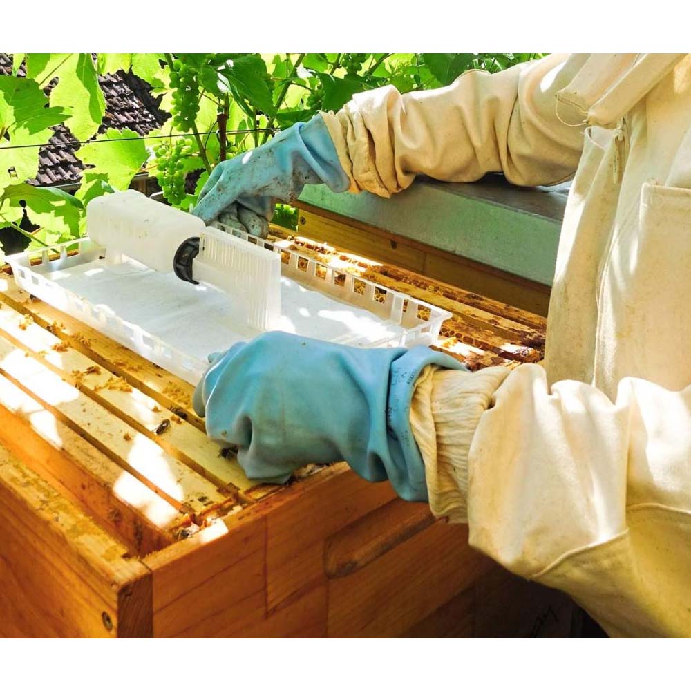 Evaporatore Nassenheider professionale