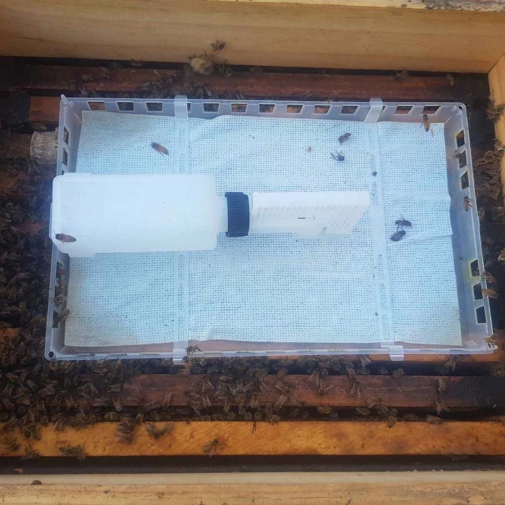 Evaporatore Nassenheider professionale