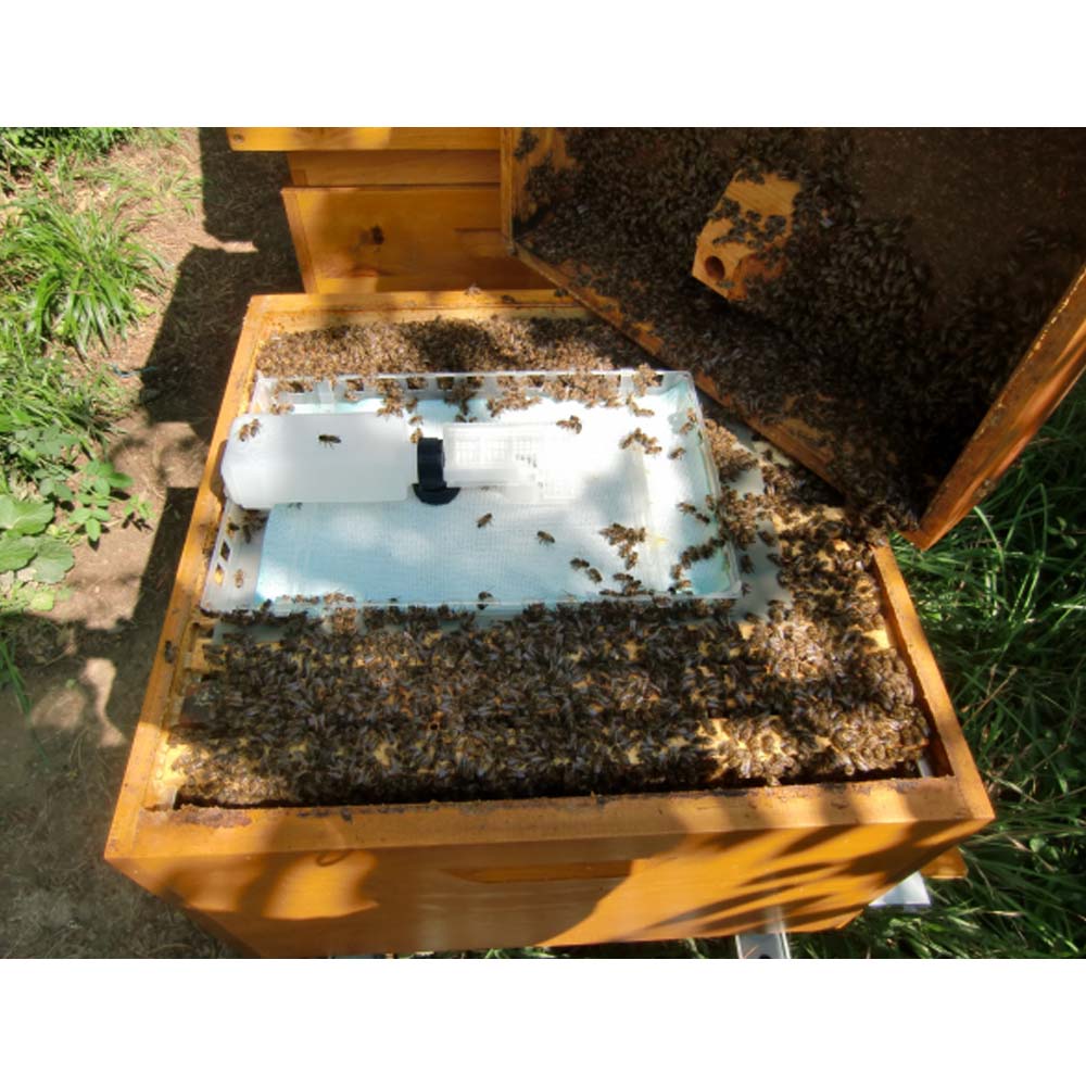 Evaporatore Nassenheider professionale