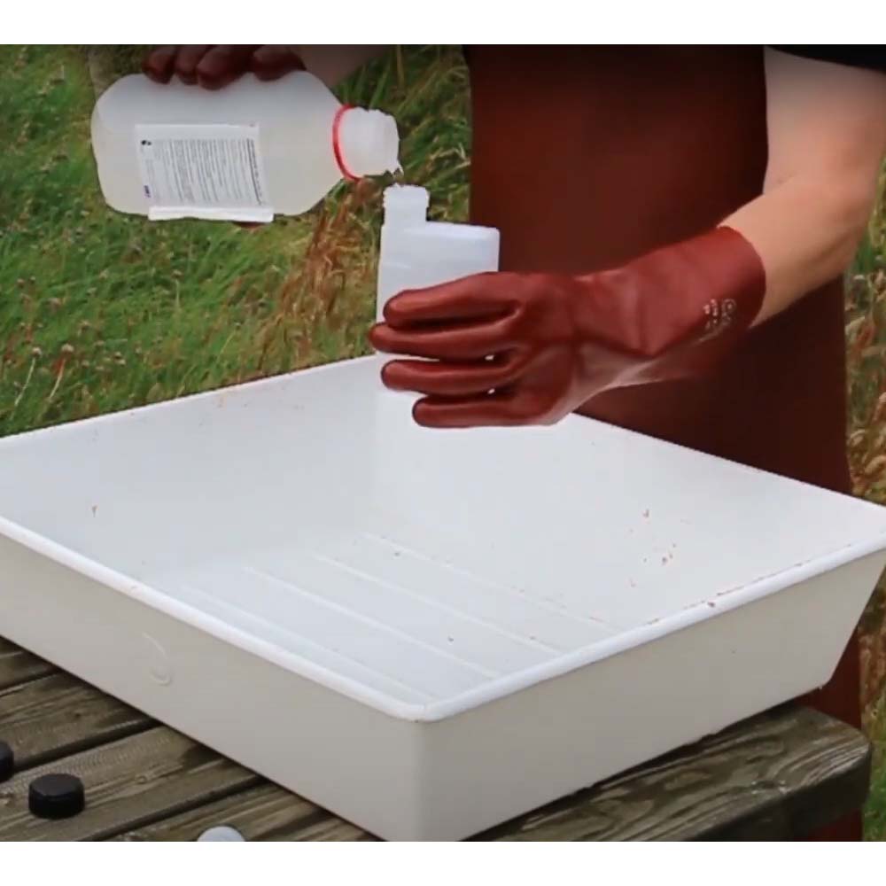 Evaporatore Nassenheider professionale