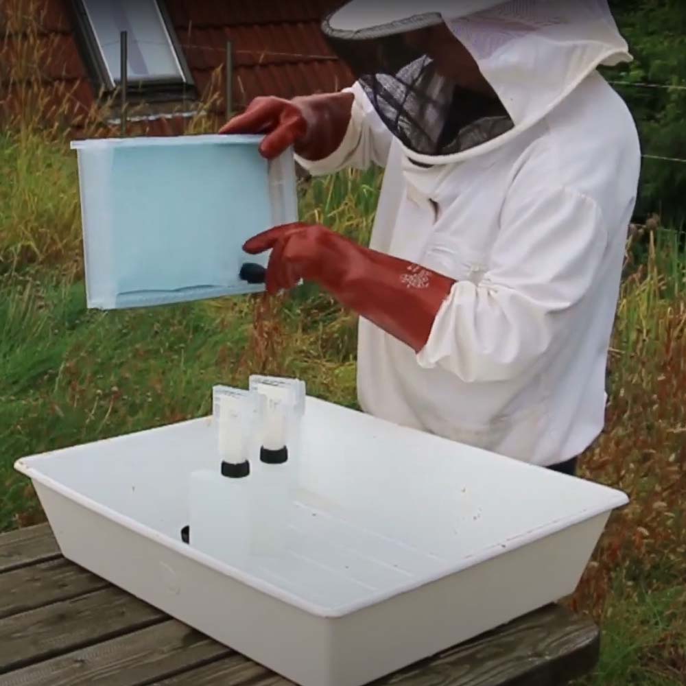 Evaporatore Nassenheider professionale