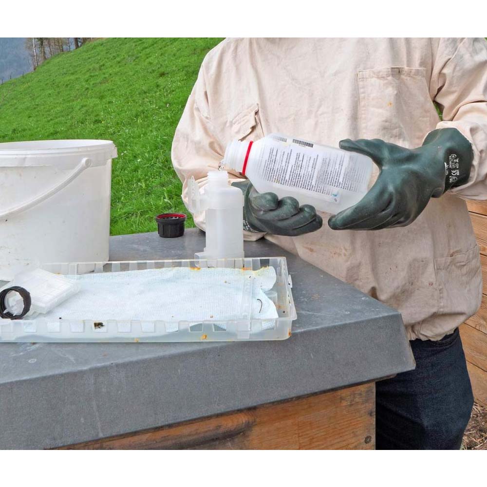 Evaporatore Nassenheider professionale