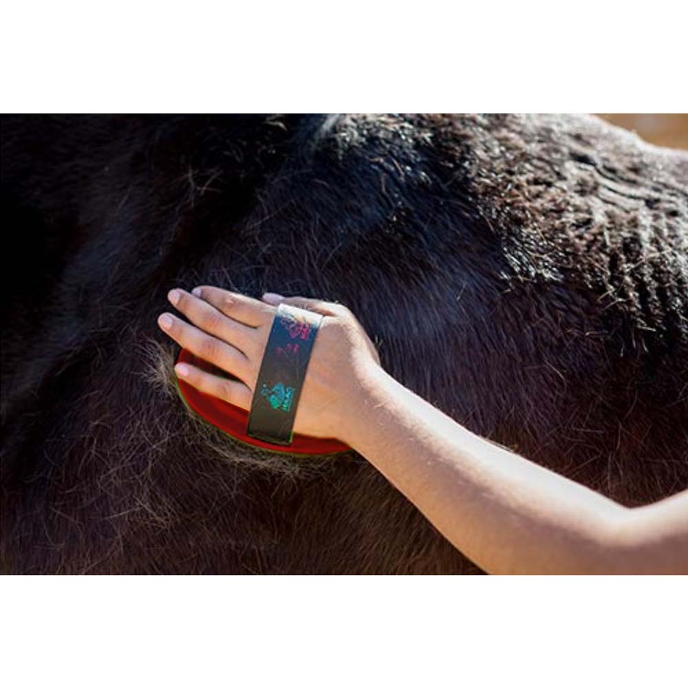 Striglia Der Gute in Plastica Dura per Cavalli