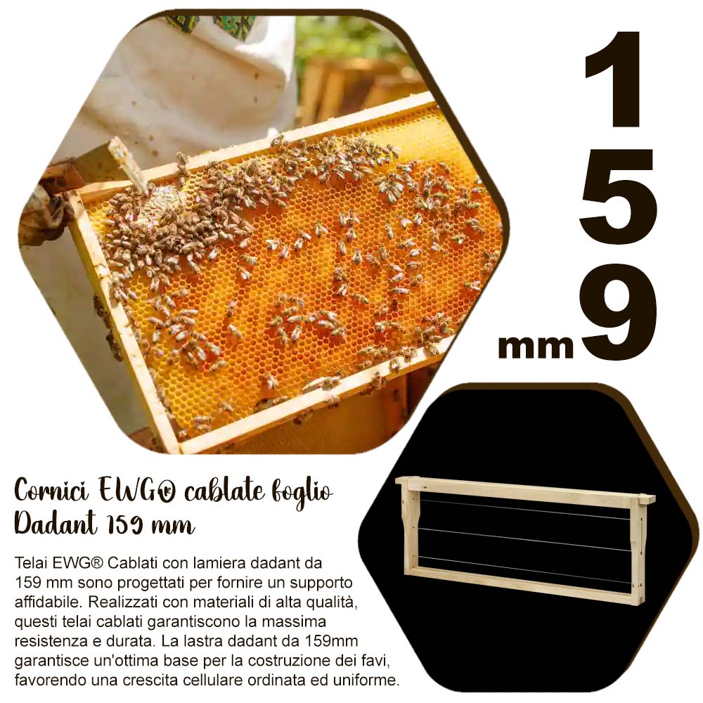 Cornici EWG® cablate foglio Dadant 159 mm