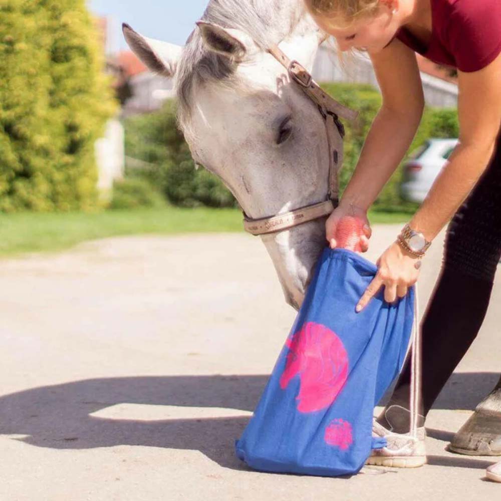 MagicBrush Bag Unicorn in Cotone
