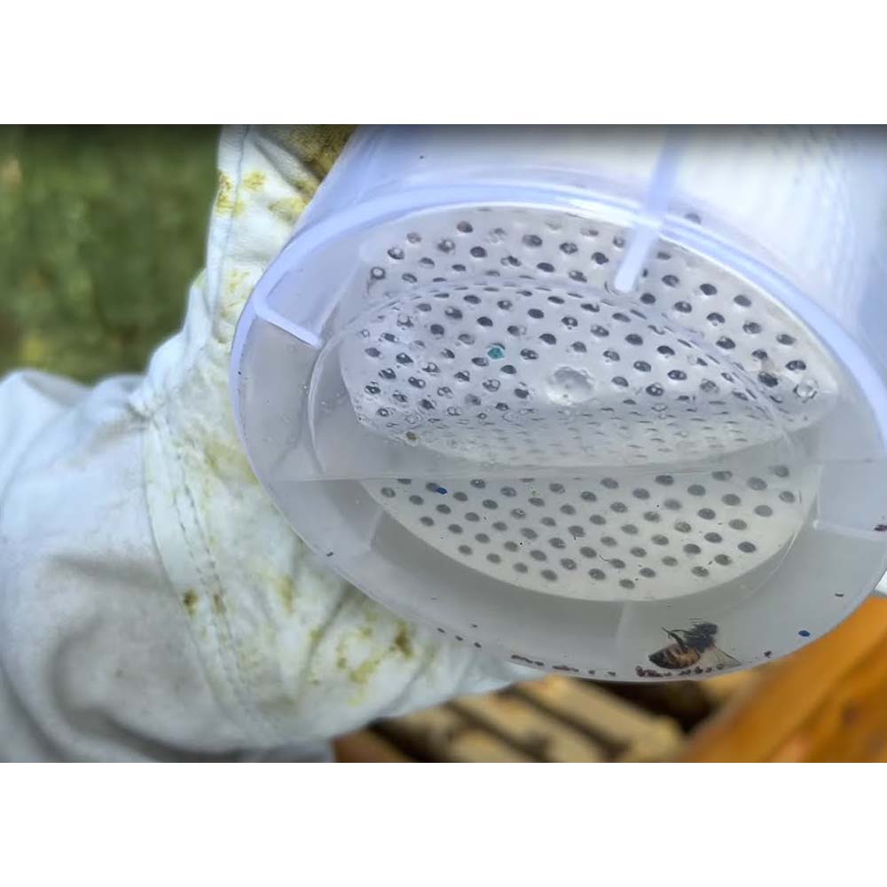 Imgut® trattamento contro la Varroa