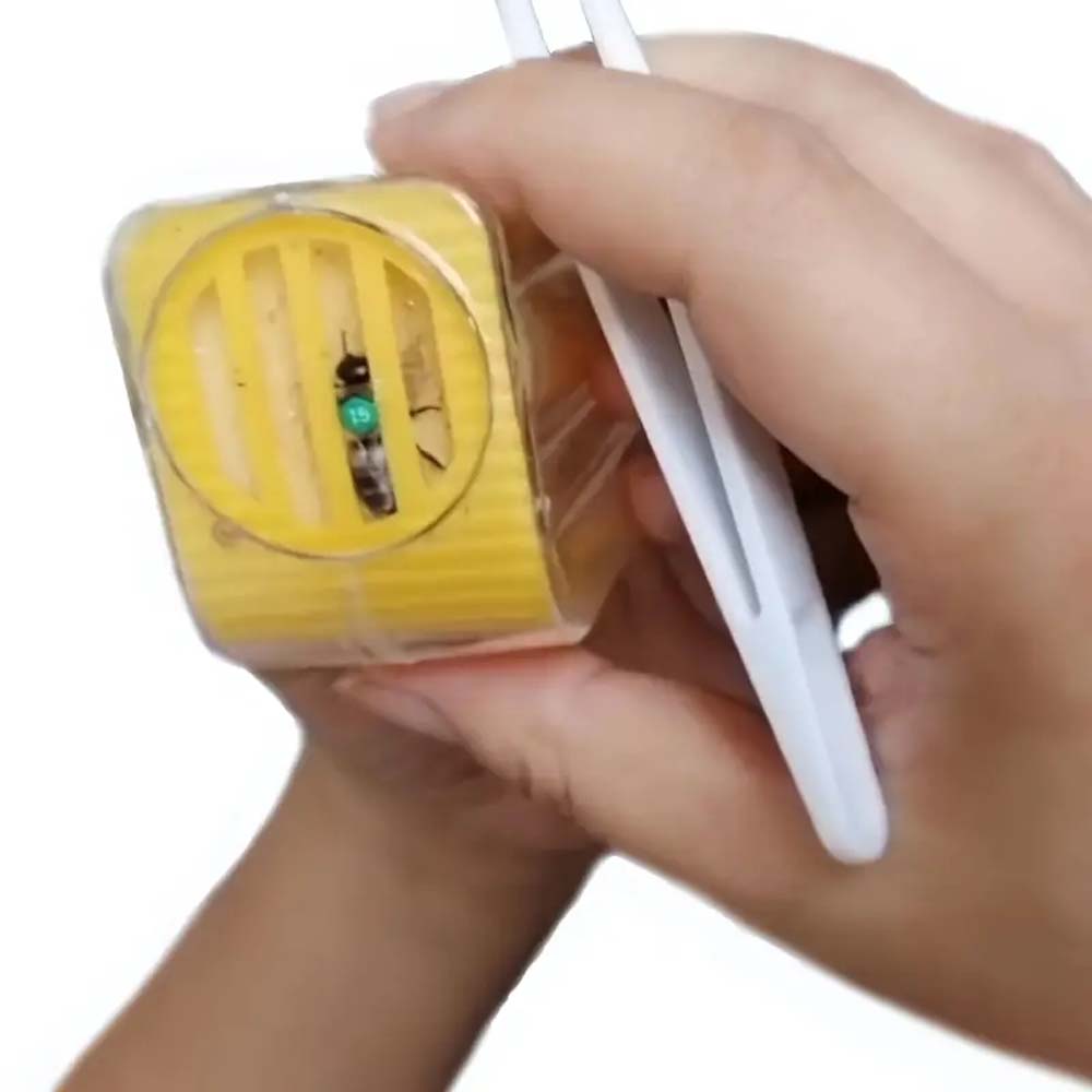 Opalith Single Card Rosso classico