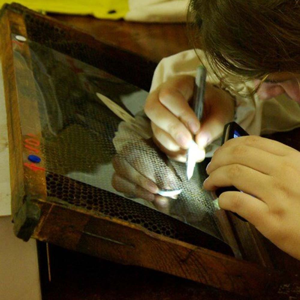 Opalith Single Card Rosso classico