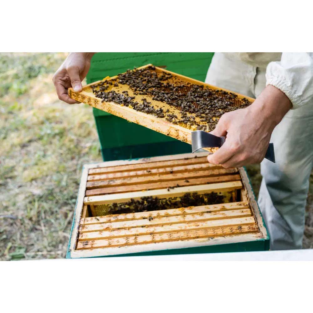 ApiNord® Ami stick scalpello II