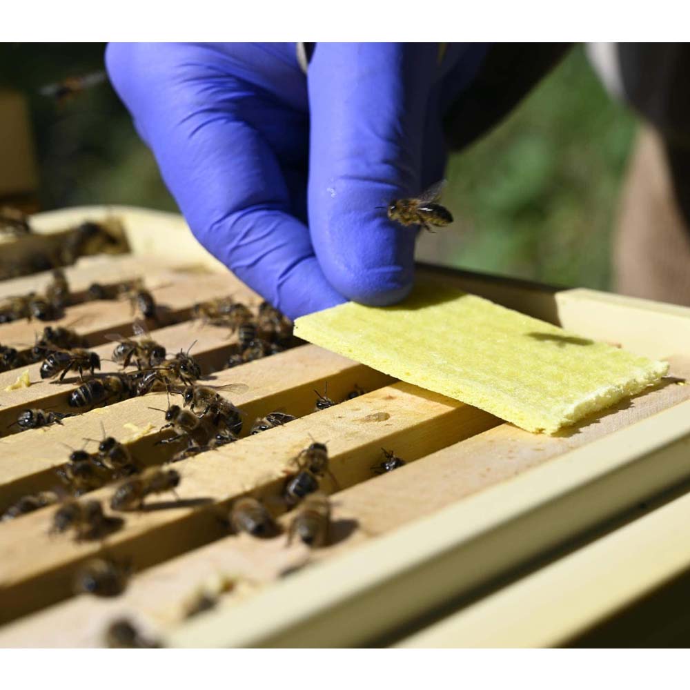 Thymovar - Streifen zur Varroabehandlung von Bienenvölkern