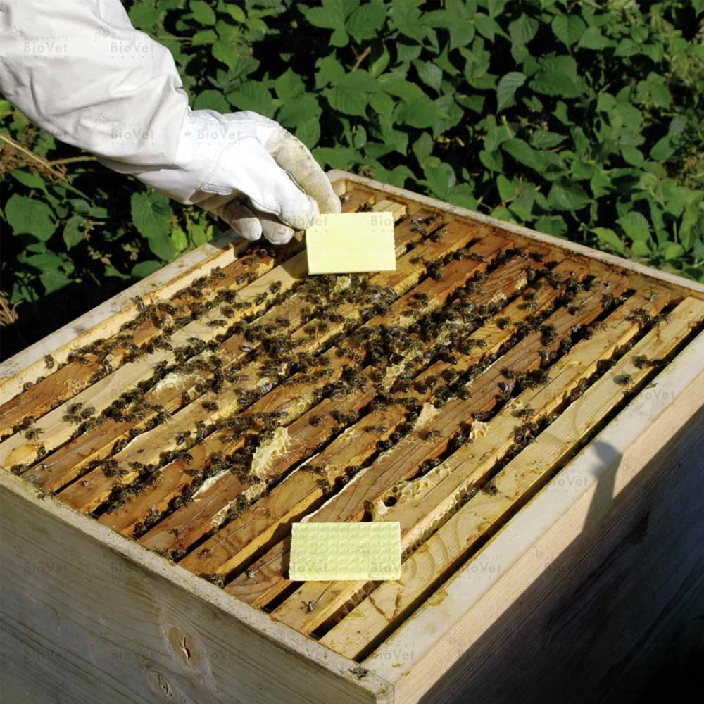 Thymovar - Streifen zur Varroabehandlung von Bienenvölkern