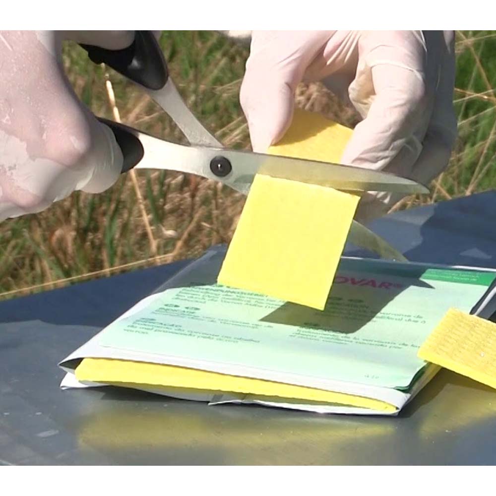 Thymovar strisce per il trattamento estivo contro la Varroa - 2 x 5 piatti