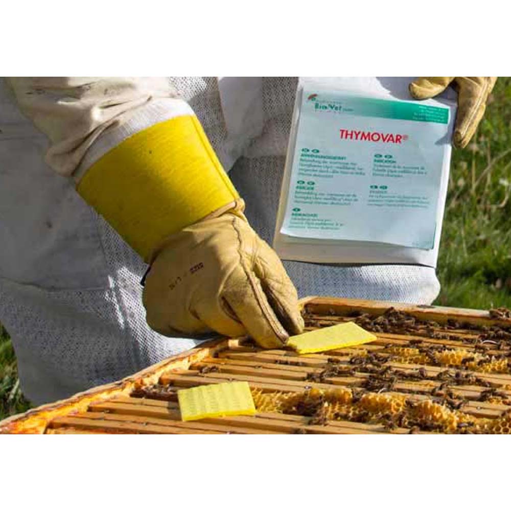 Thymovar strisce per il trattamento estivo contro la Varroa - 2 x 5 piatti