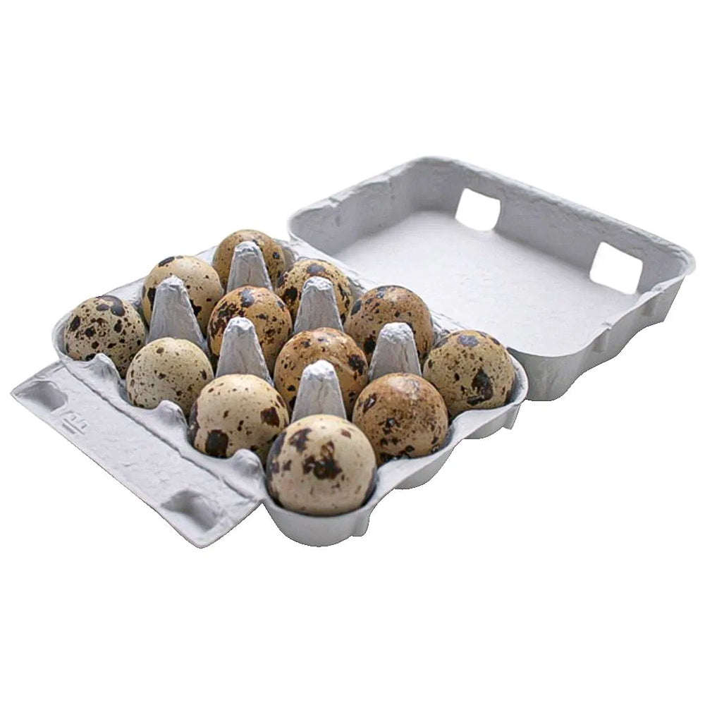 Cartone per 6 e 12 Uova di Quaglia Grigio – Confezione in Cartone Ecologica