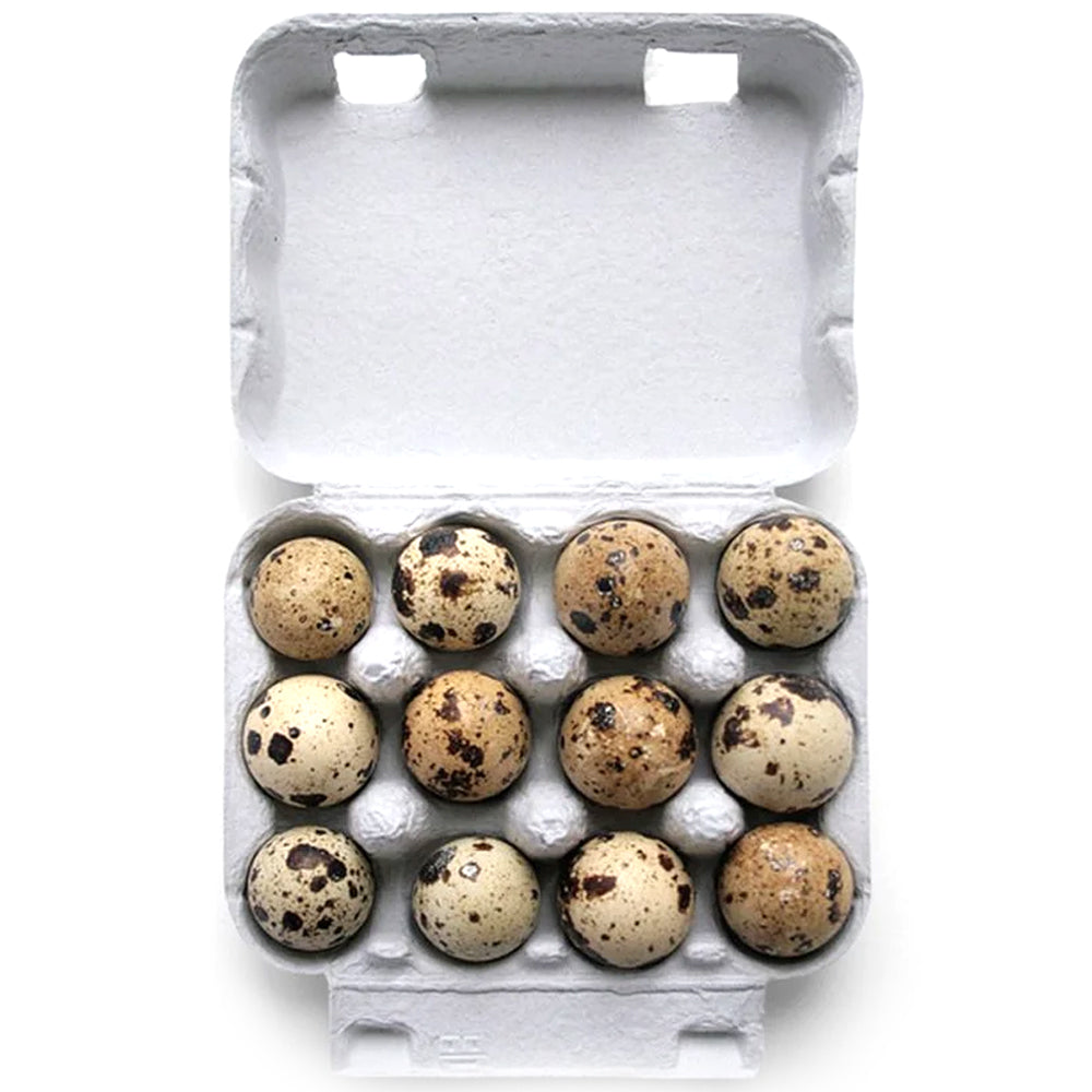 Cartone per 6 e 12 Uova di Quaglia Grigio – Confezione in Cartone Ecologica