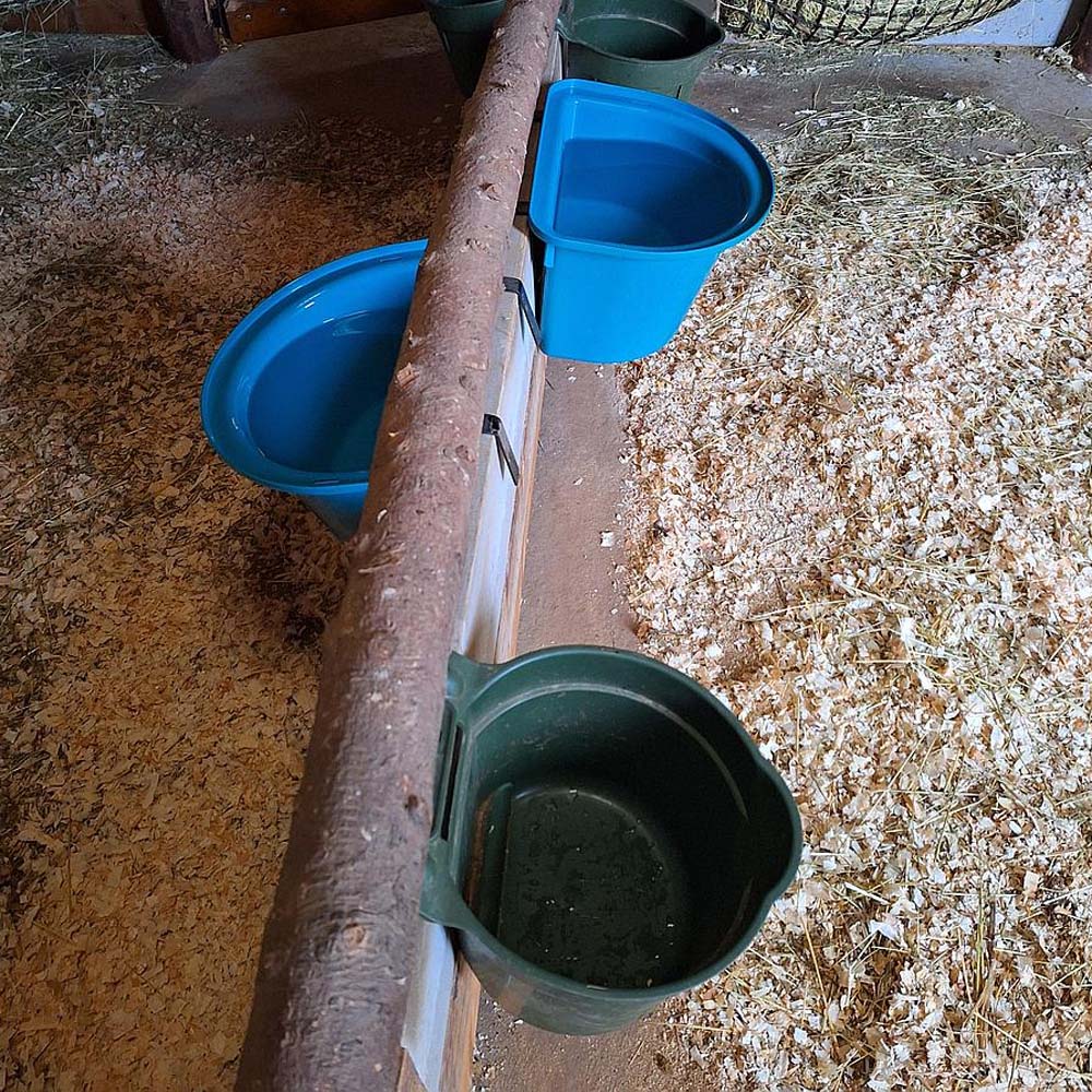 Mangiatoia Hangon 8l sospesa