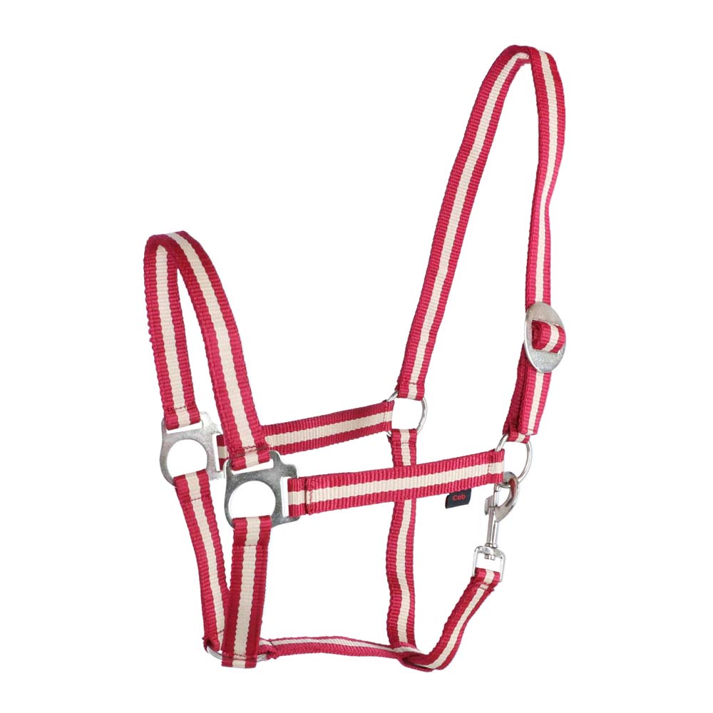 Cavezza in nylon hippo per equini