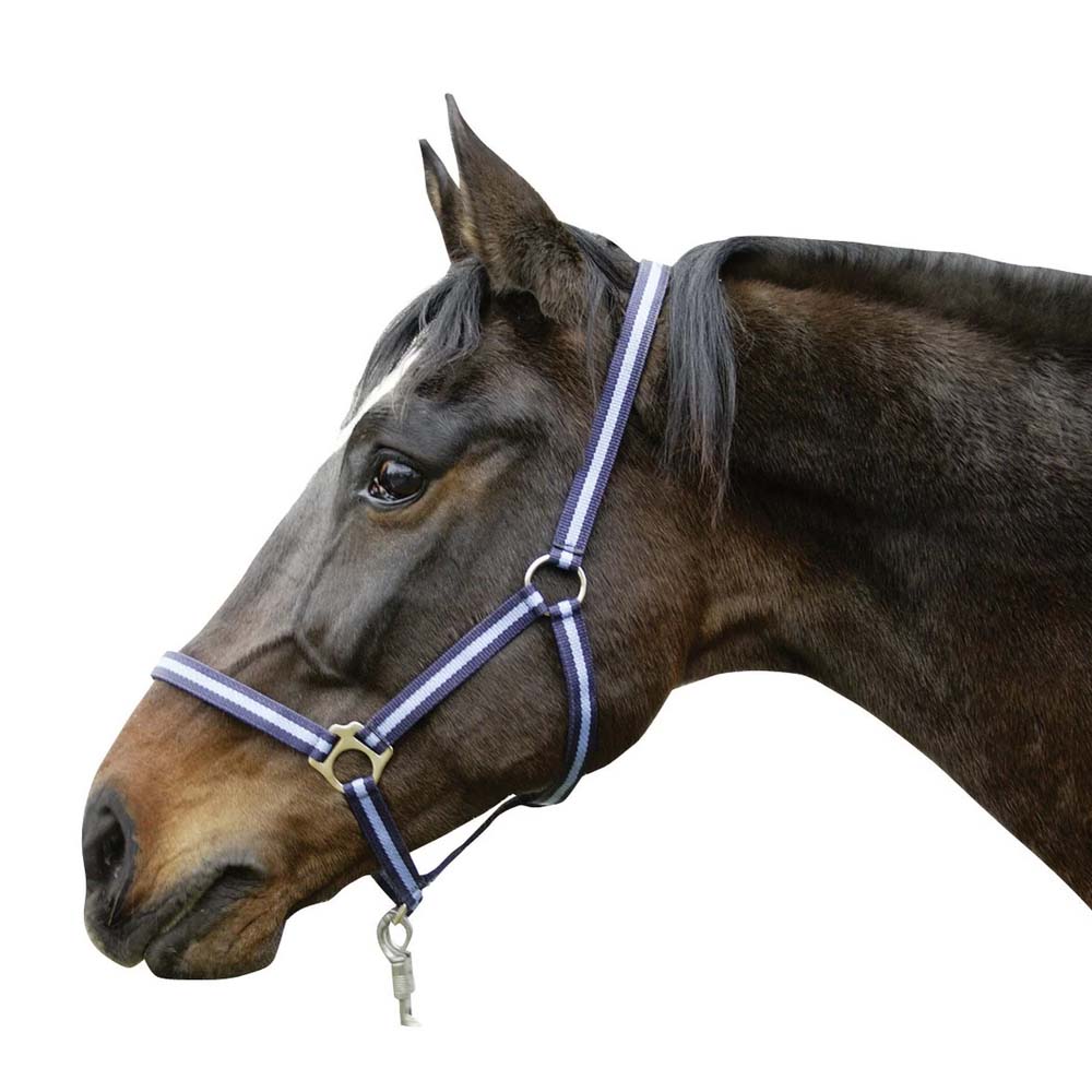 Cavezza in nylon hippo per equini