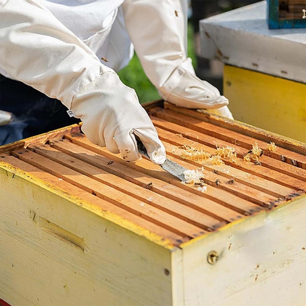 Raschietto per bastoncini