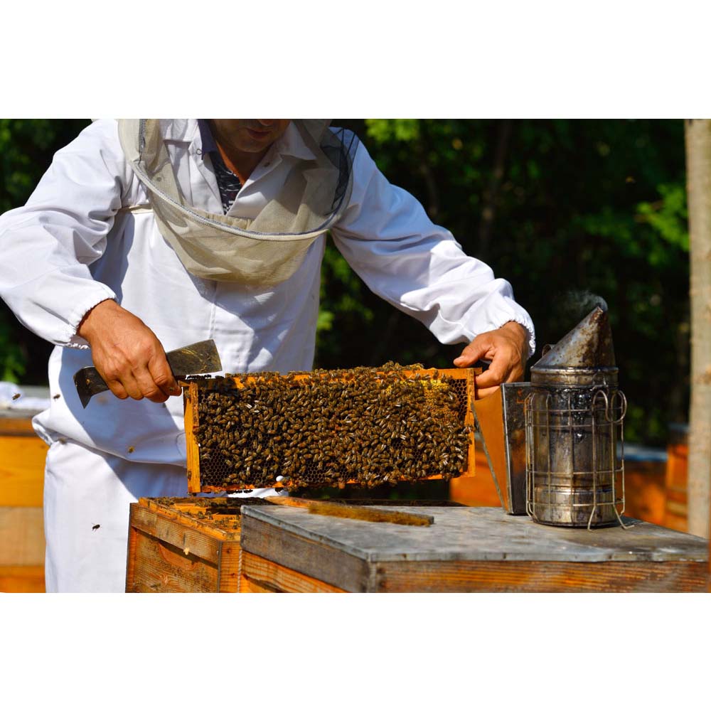 Raschietto per bastoncini