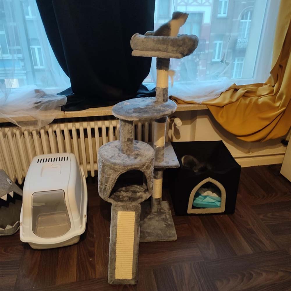 Toilette per Gatti Minka con Porta Filtro