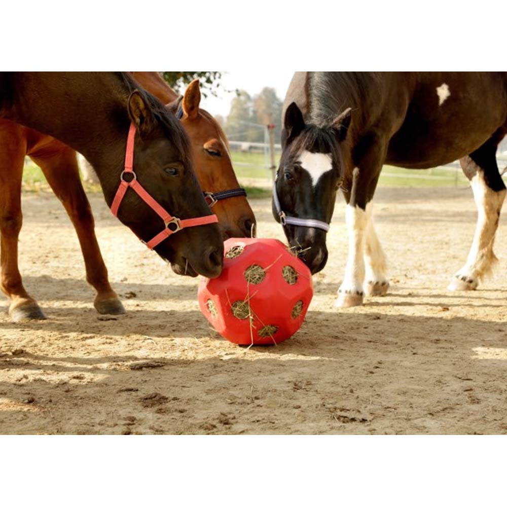 Una palla giocattolo da mangiare per il bestiame