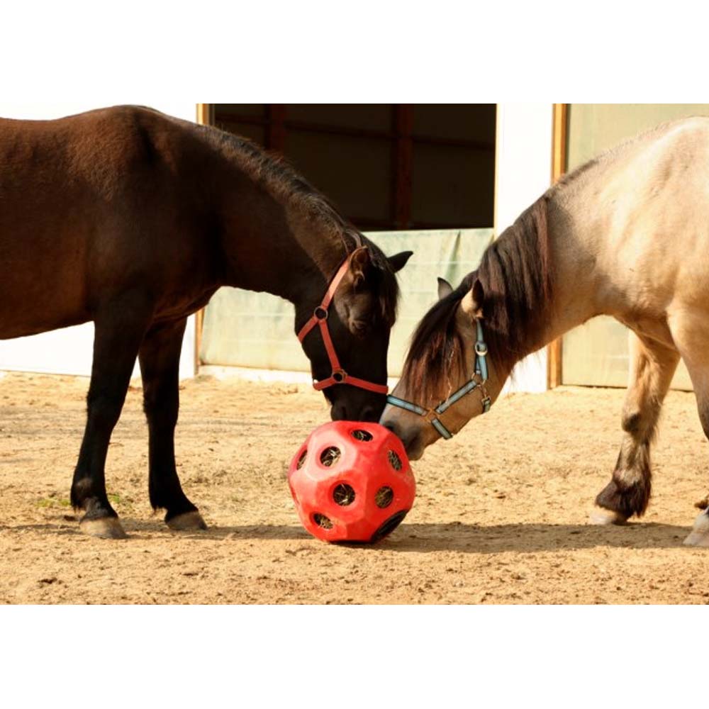 Accessori per vitelli HeuBoy Sfera di alimentazione