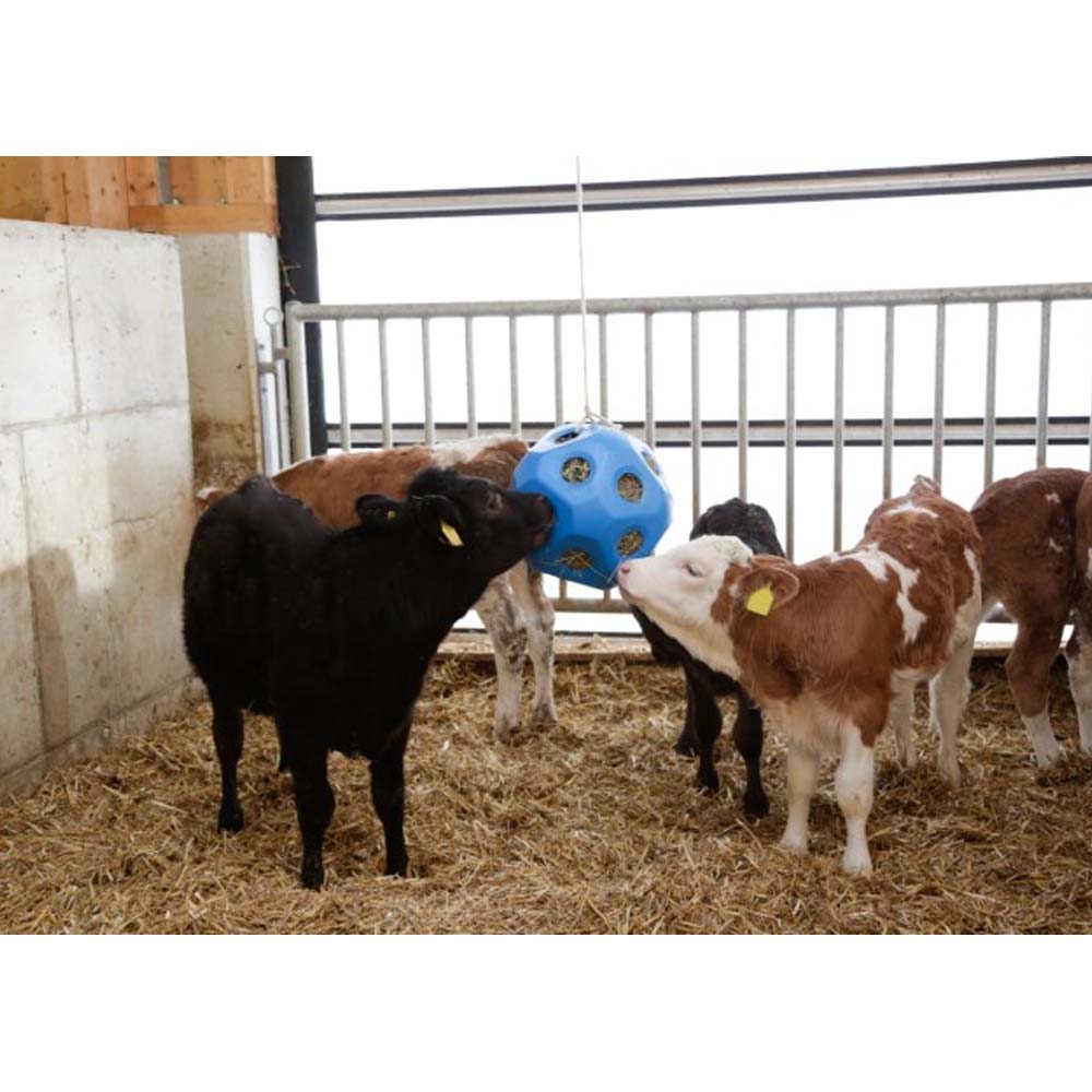 Accessori per vitelli HeuBoy Sfera di alimentazione