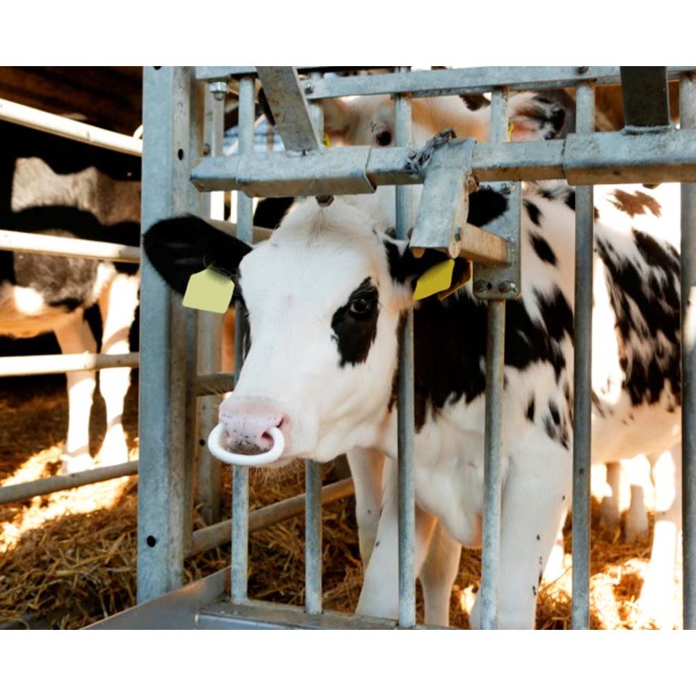 Antisucchio Suckstop Muller trasparente